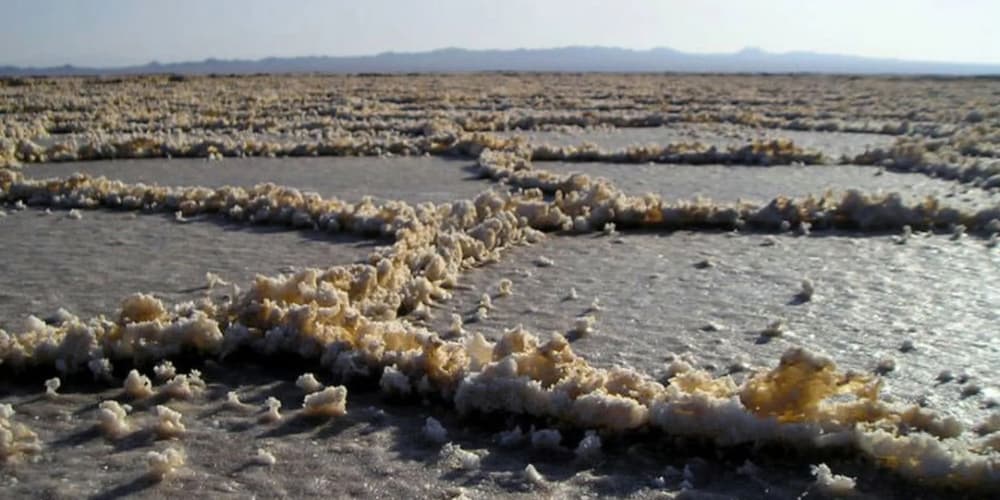 دیدنی ها و جاذبه های خاص کویر