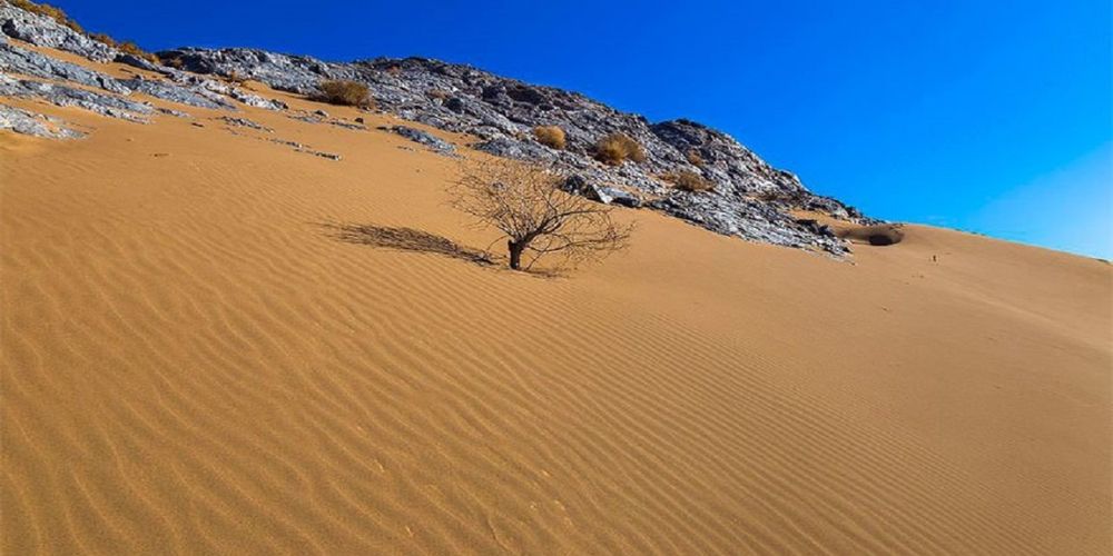 نکات ضروری و وسایل مورد نیاز