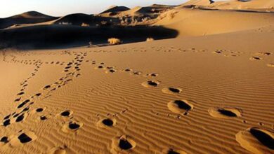 کویر مرنجاب