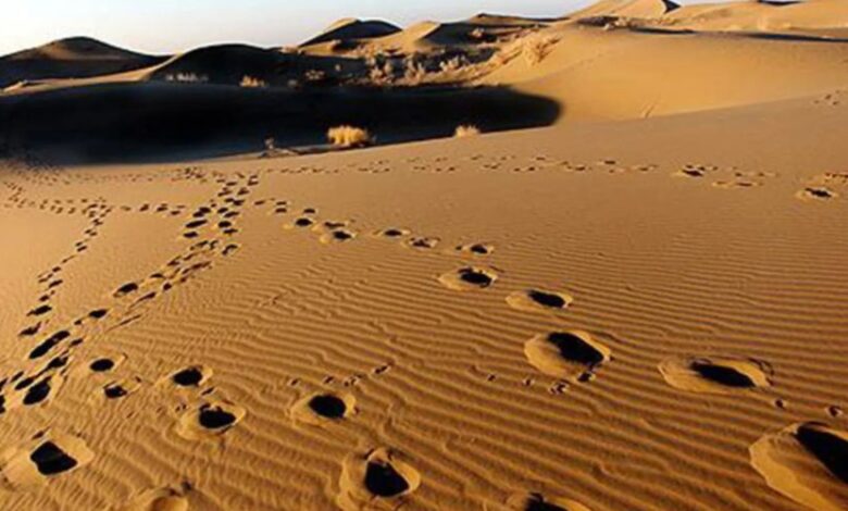 کویر مرنجاب