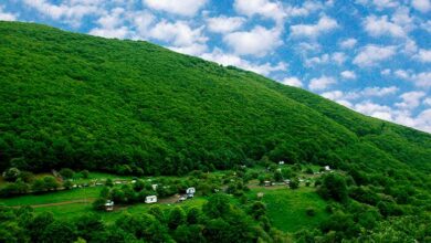 جنگل ارسباران