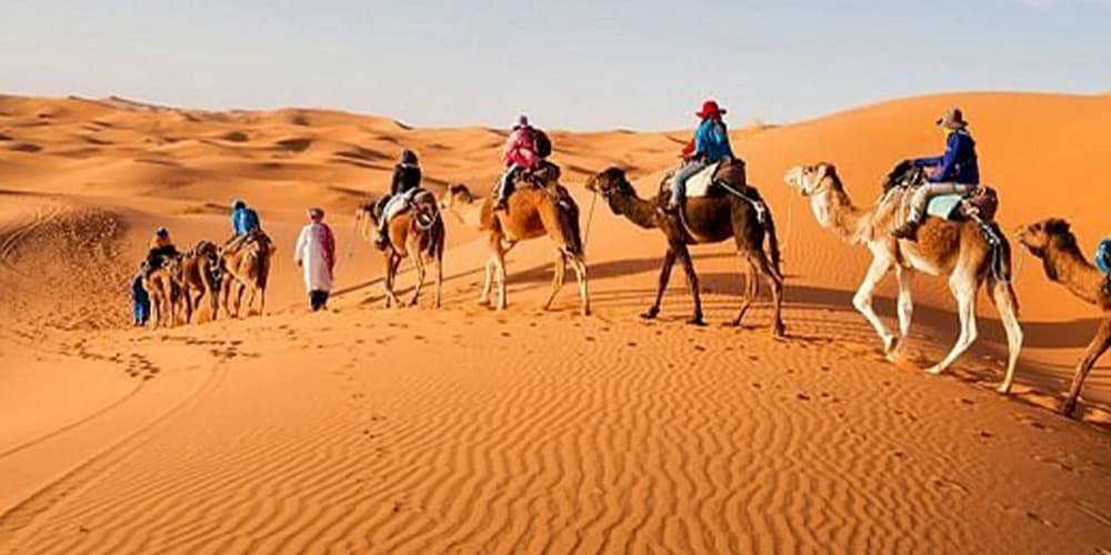 امکانات، اقامتگاه ها و تورها