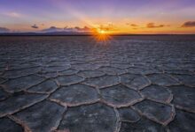 کویر حاج علی قلی؛ مقصدی بکر برای سفر به دل آرامش کویر