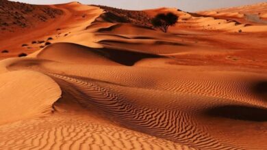 کویر ریگ جن