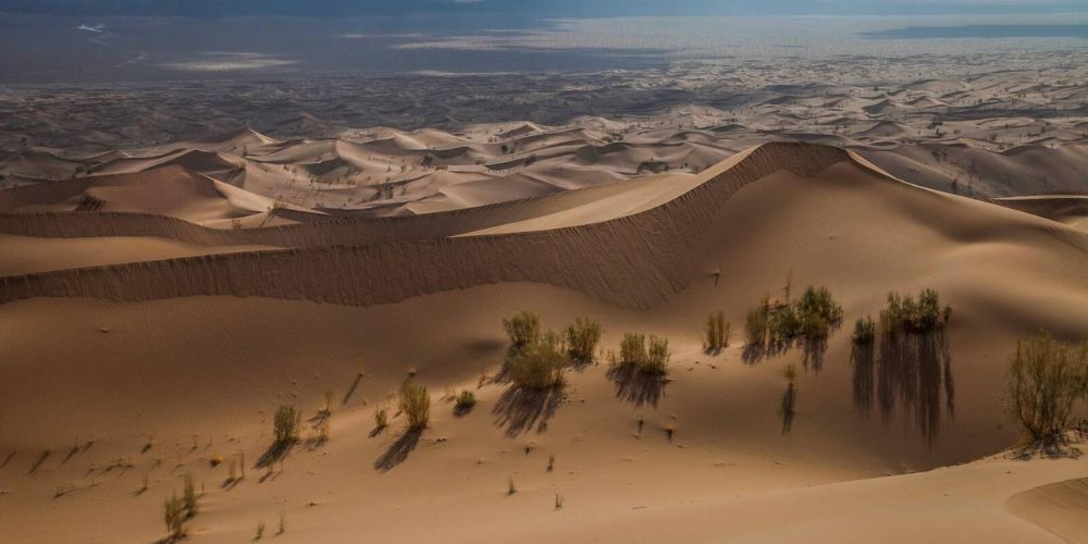 امکانات، اقامتگاه ها و تورها