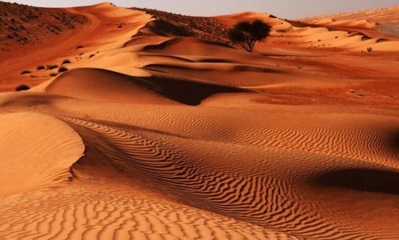 کویر پلوند؛ سفری آرام به قلب سکوت و شگفتی های طبیعت