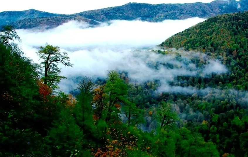 موقعیت جغرافیایی جنگل هیرکانی