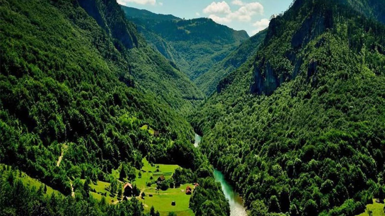 جاهای دیدنی و تفریحات جنگل‌های هیرکانی