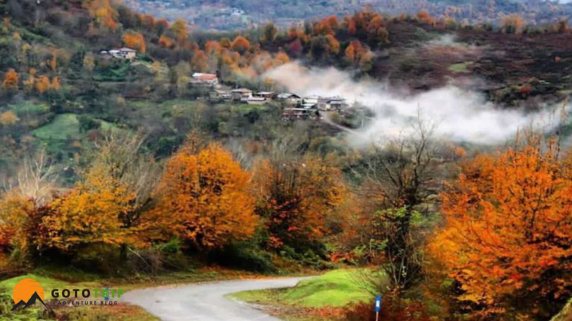 جنگل لیلا کوه