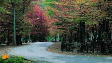 جنگل النگدره گرگان