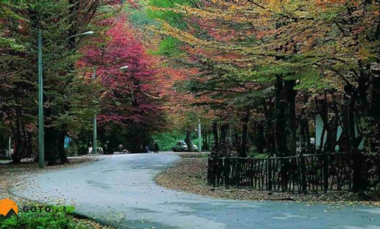 جنگل النگدره گرگان