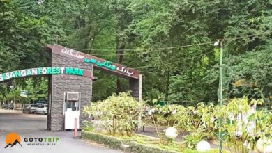 جنگل سیسنگان