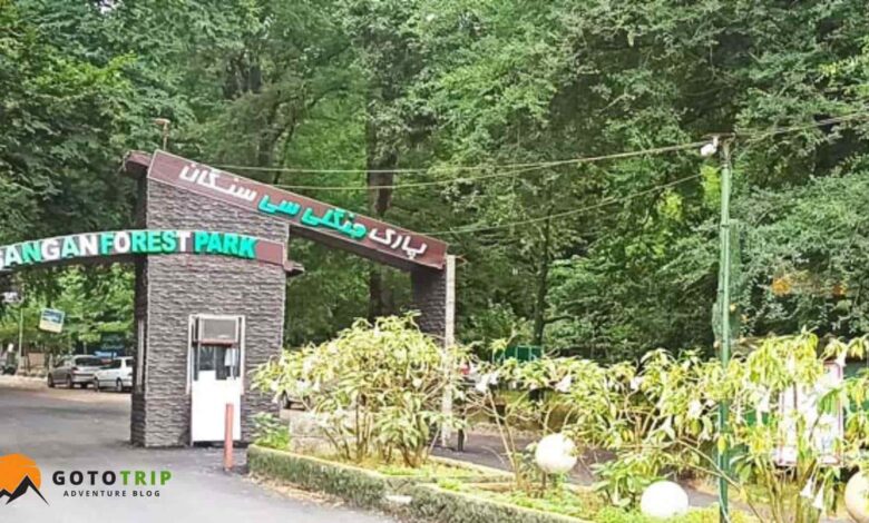 جنگل سیسنگان