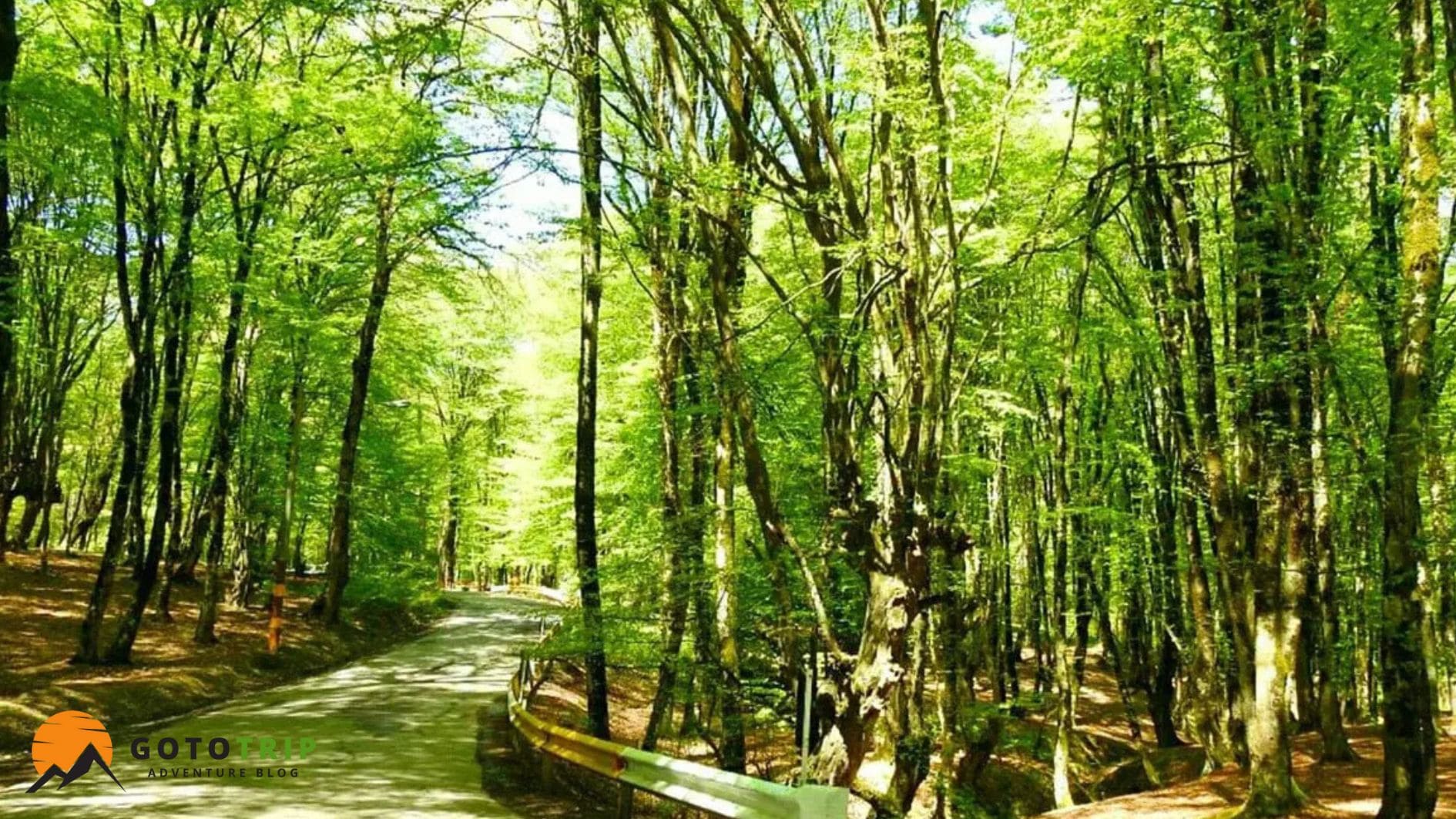 آب‌وهوای جنگل النگدره