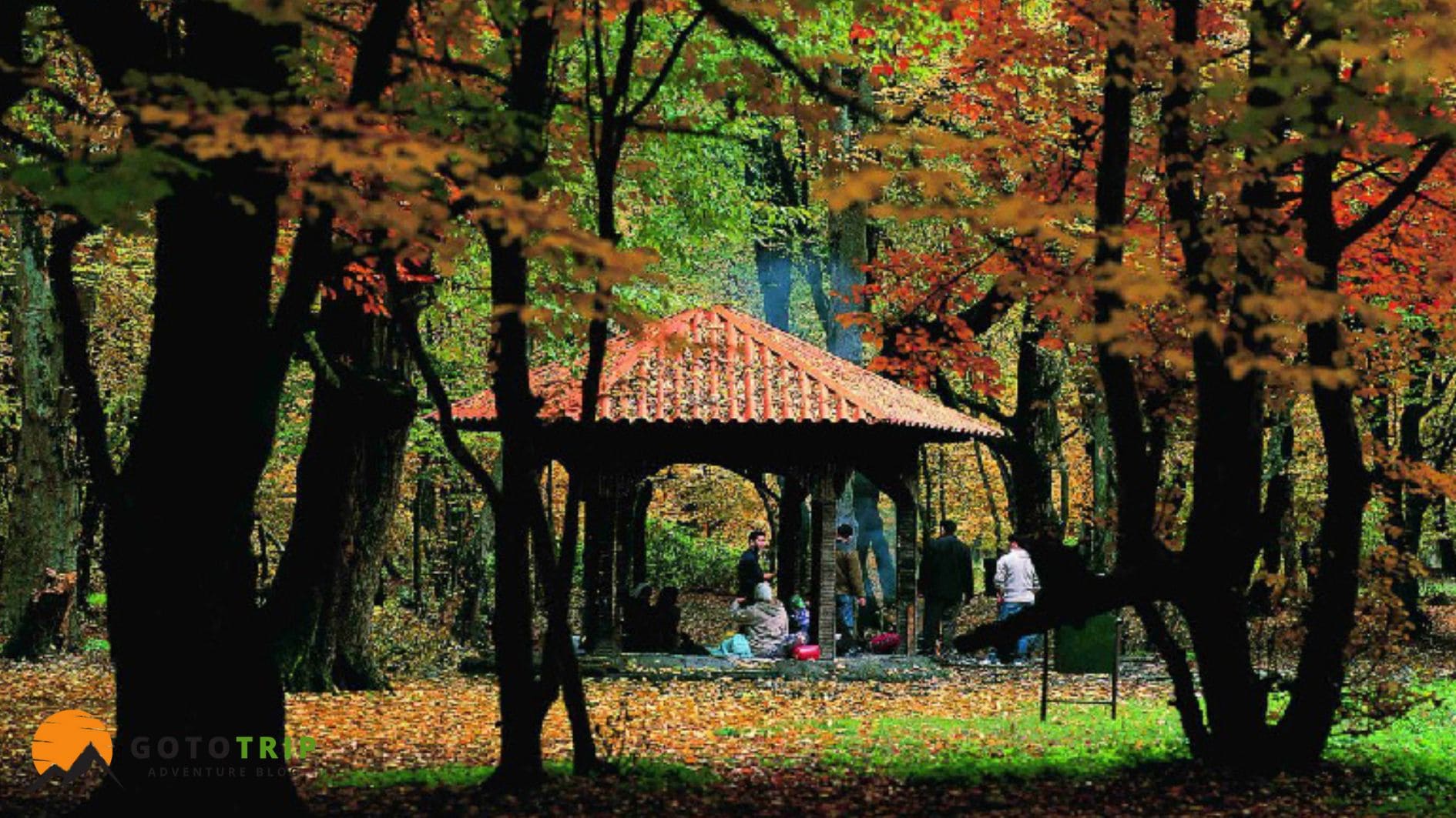 جنگل النگدره