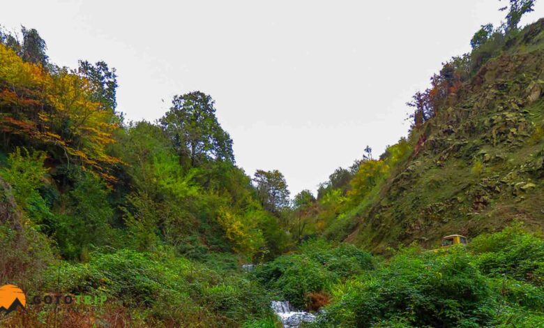 جنگل لیلا کوه