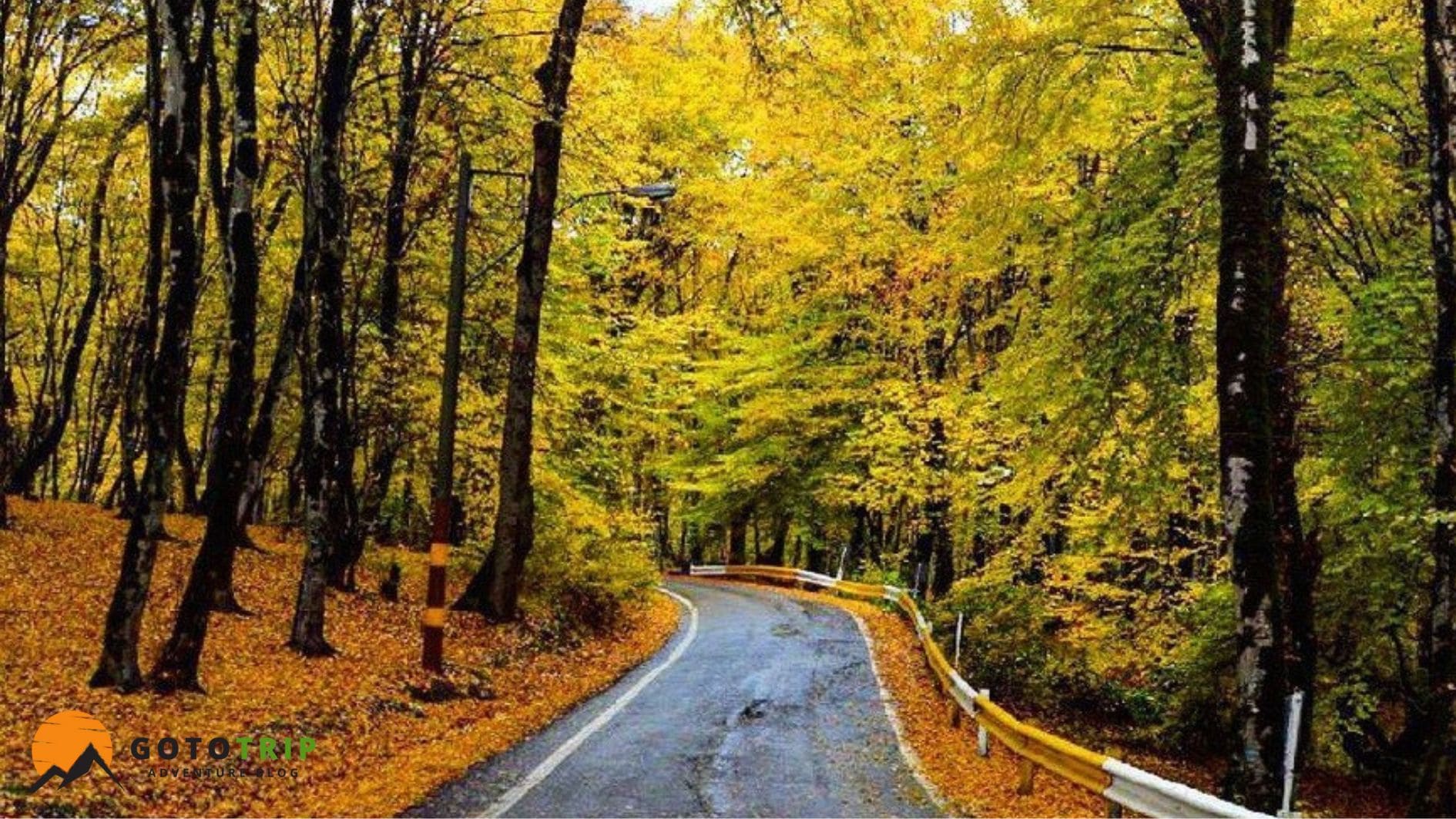 مسیر دسترسی جنگل النگدره