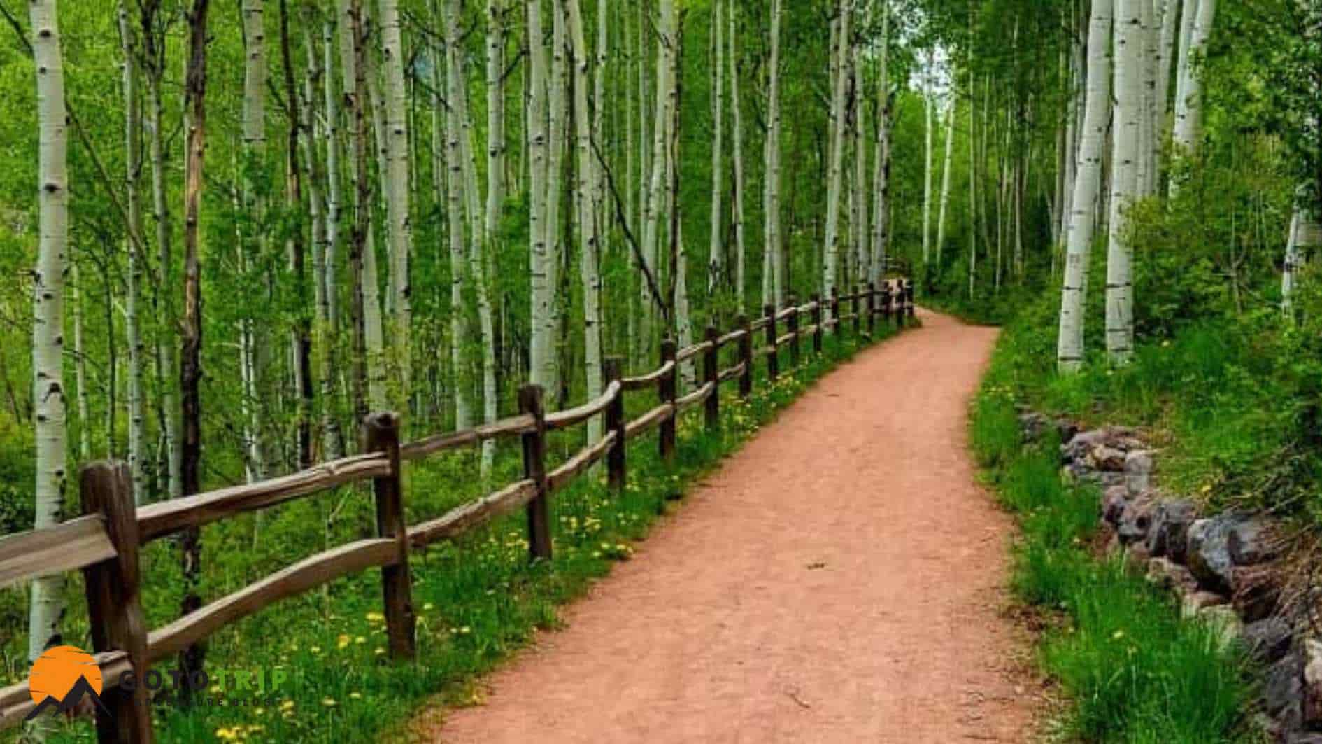 در جنگل سیسنگان چه کار کنیم؟