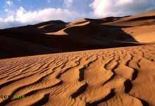 سفر به کویر ابوزیدآباد؛ تجربه ای ناب از سکوت، ستاره ها و شن های طلایی