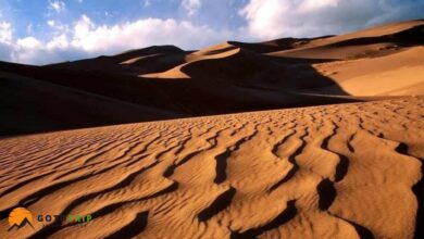 سفر به کویر ابوزیدآباد؛ تجربه ای ناب از سکوت، ستاره ها و شن های طلایی