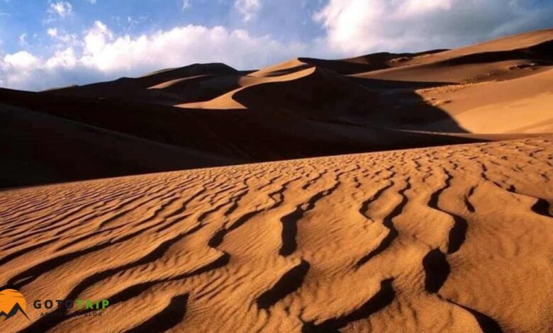 سفر به کویر ابوزیدآباد؛ تجربه ای ناب از سکوت، ستاره ها و شن های طلایی