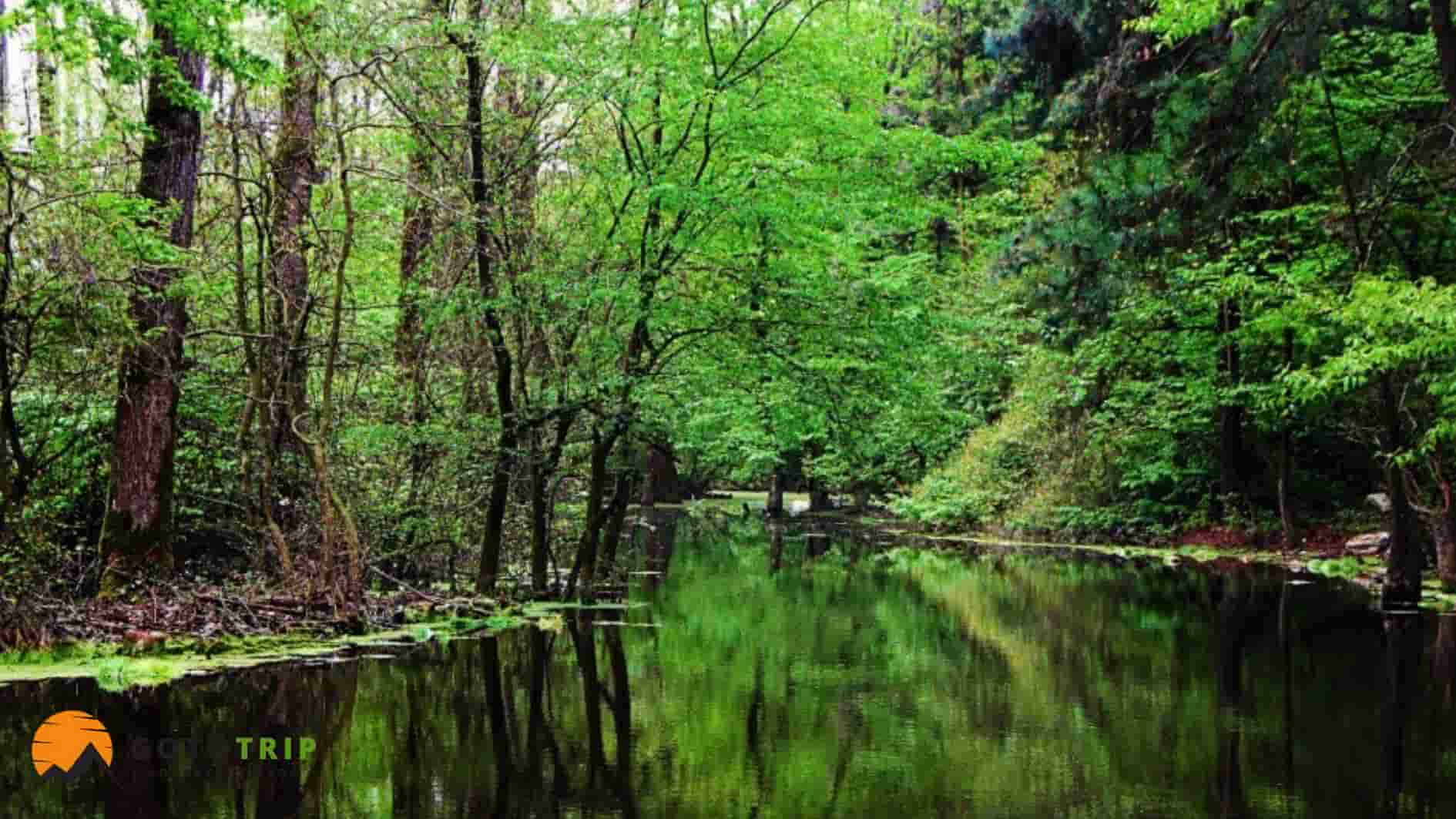 بخشها و مناطق مختلف جنگل سراوان