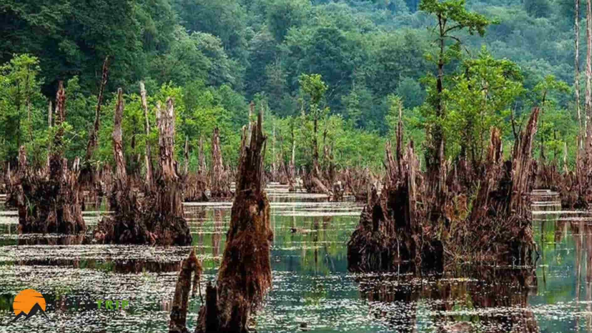 جاهای دیدنی اطراف ساحل سیسنگان