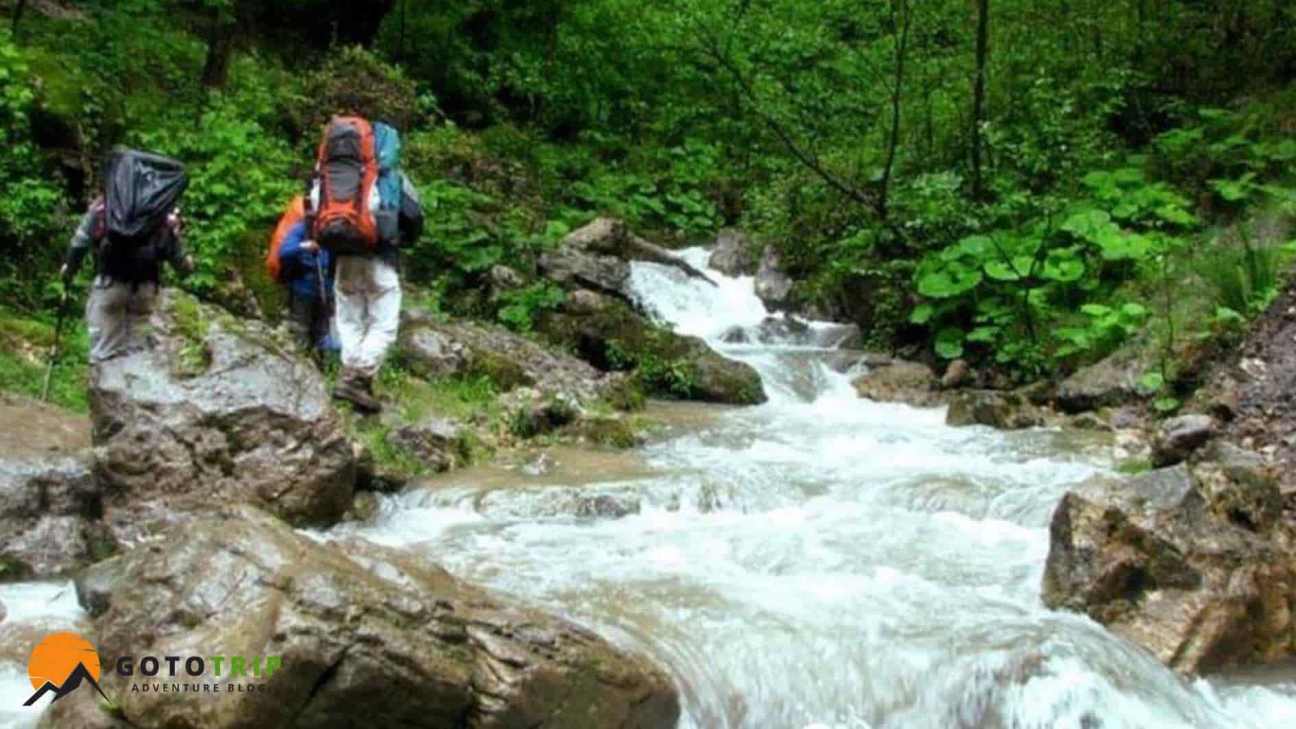 بخش‌ها و دیدنی‌های معروف جنگل الیمستان