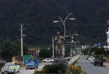 ساحل چالک نوشهر؛ ترکیبی از جنگل و دریا