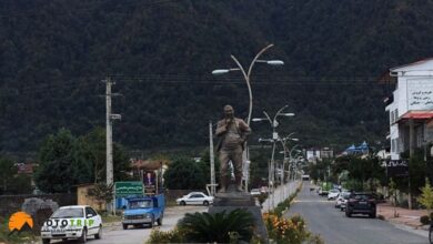 ساحل چالک نوشهر؛ ترکیبی از جنگل و دریا