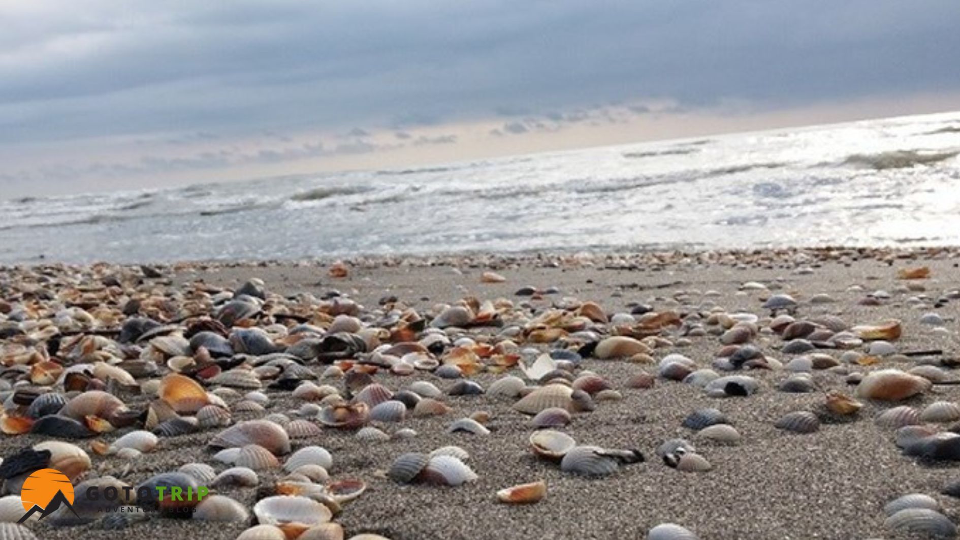 ساحل چلک نوشهر؛ ترکیبی از جنگل و دریا