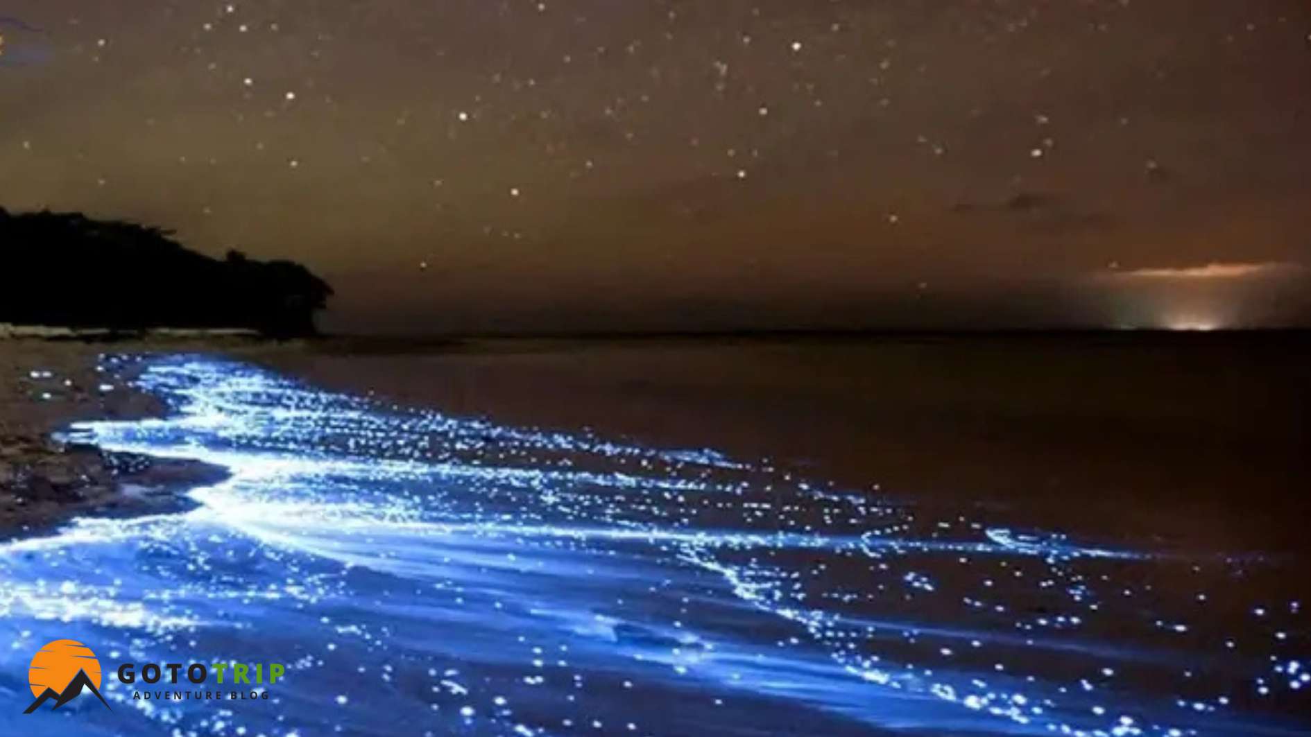 پدیده فیتوپلانکتون؛ نور شبانه در ساحل کنارک