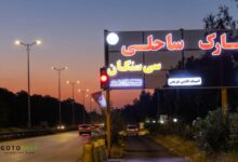 ساحل سیسنگان؛ ترکیبی بی‌نظیر از جنگل و دریا در شمال ایران