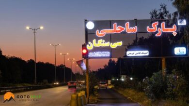 ساحل سیسنگان؛ ترکیبی بی‌نظیر از جنگل و دریا در شمال ایران