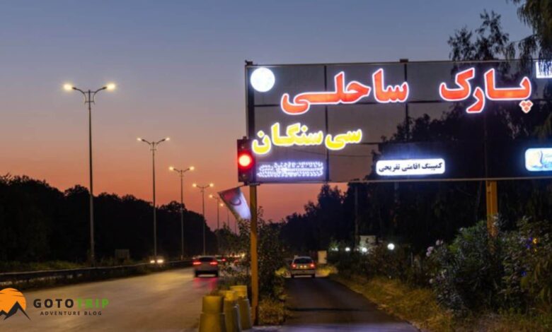 ساحل سیسنگان؛ ترکیبی بی‌نظیر از جنگل و دریا در شمال ایران