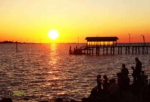 ساحل بندر ترکمن؛ با شن‌های طلایی، طبیعت بکر و مقصدی ایده‌آل