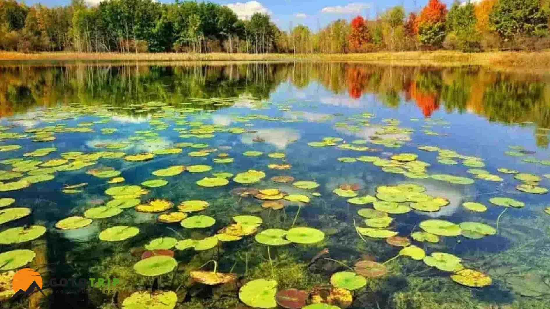 جاهای دیدنی اطراف ساحل بندر ترکمن