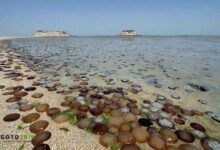 ساحل هندورابی؛ نگین بکر خلیج فارس