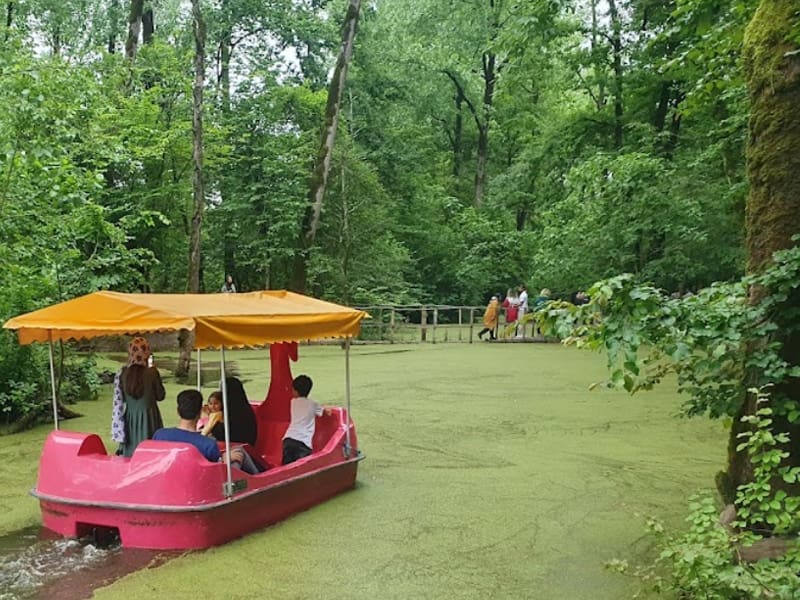 جاهای دیدنی اطراف جنگل سراوان