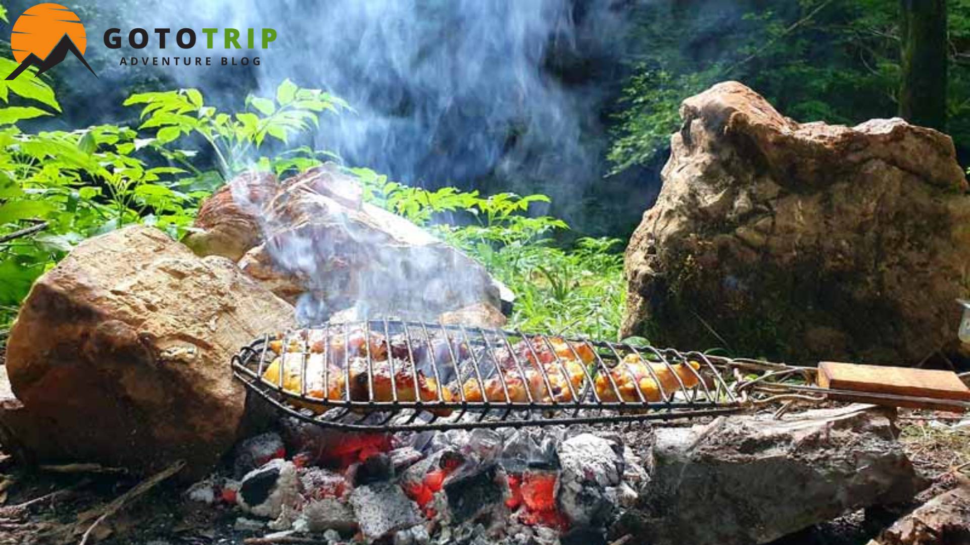 چرا پخت غذا در طبیعت تجربه ای فراموش نشدنی است؟