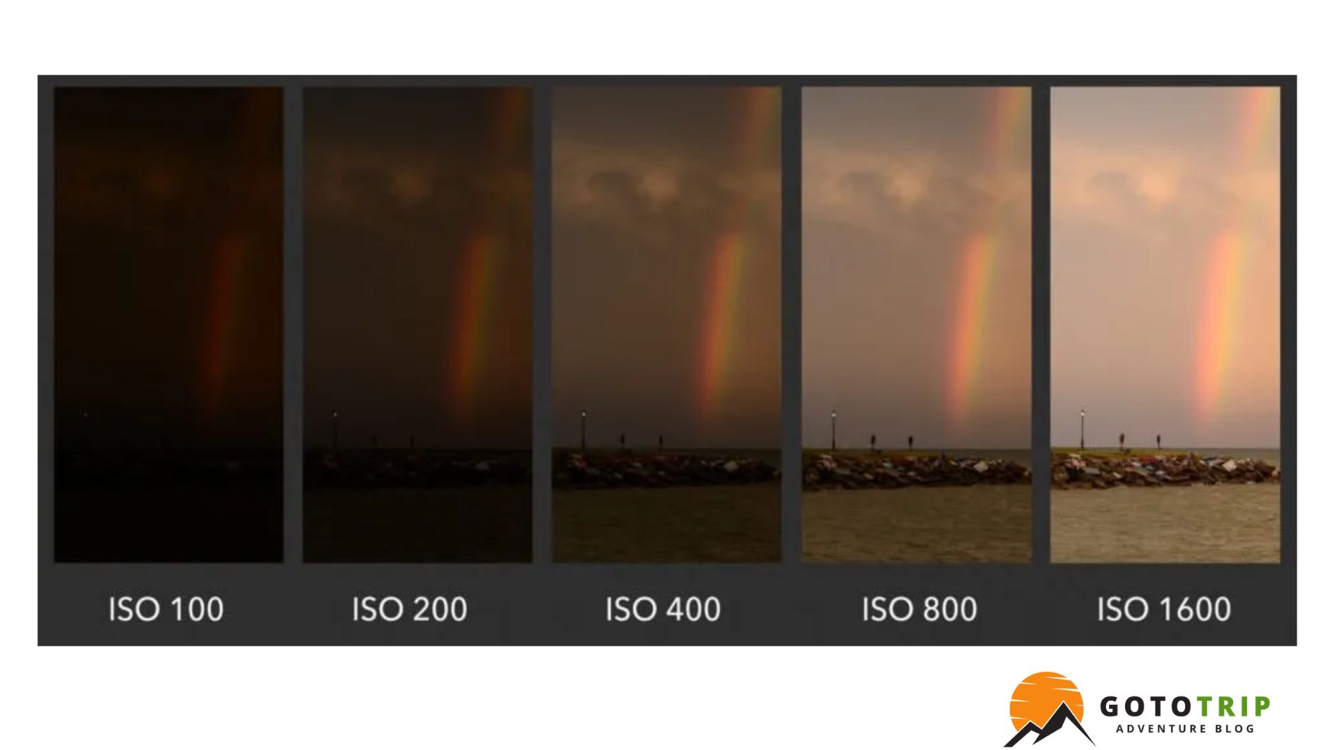 جدول نکات مهم برای عکاسی در طبیعت پاییز