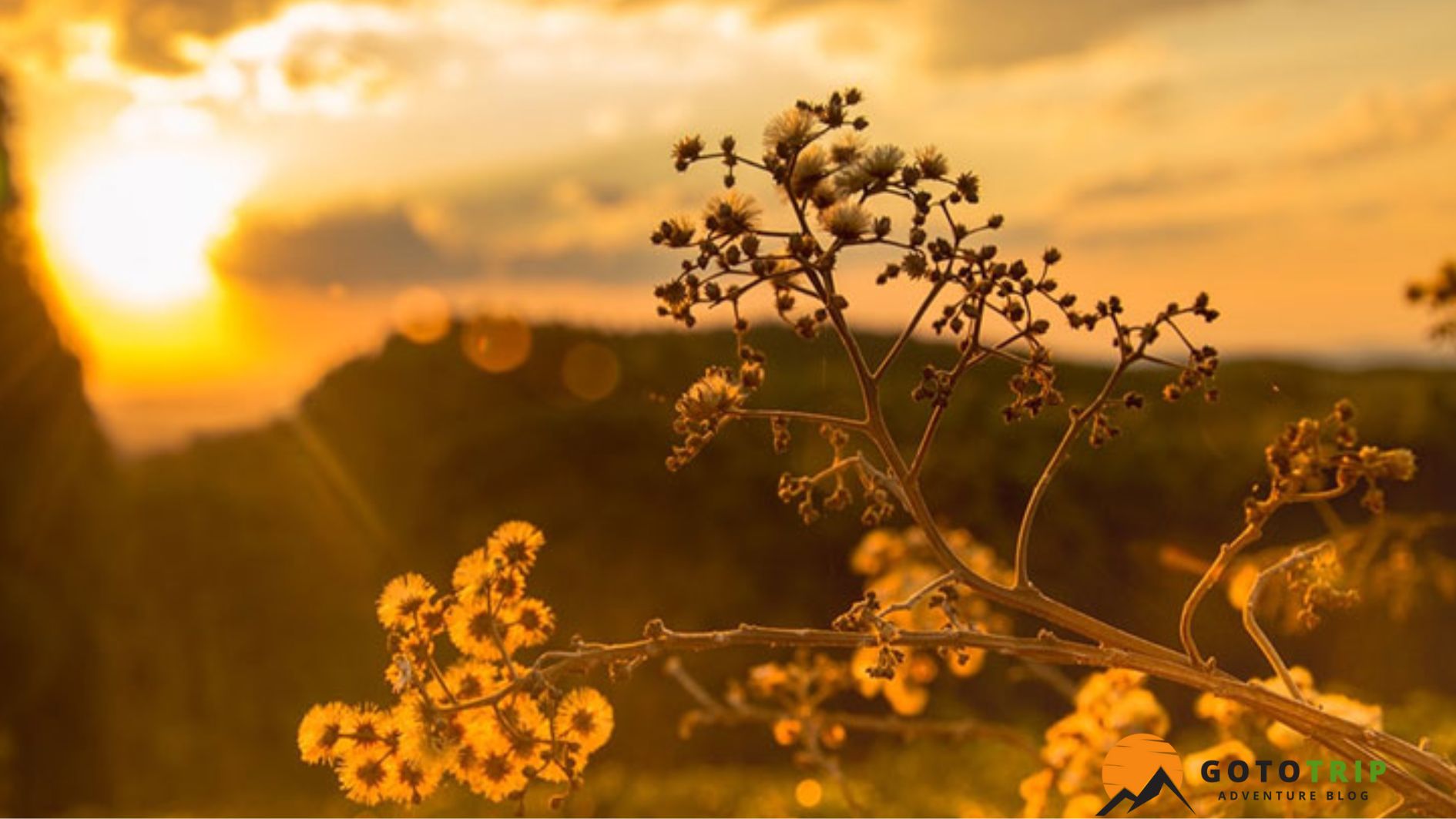 نورپردازی طبیعی با تابش خورشید 