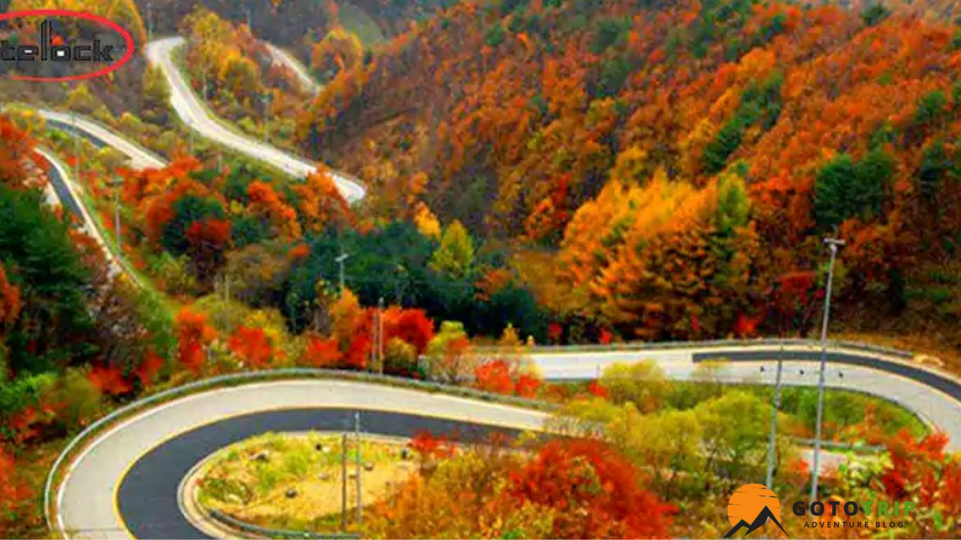 مسیرهای جنگلی