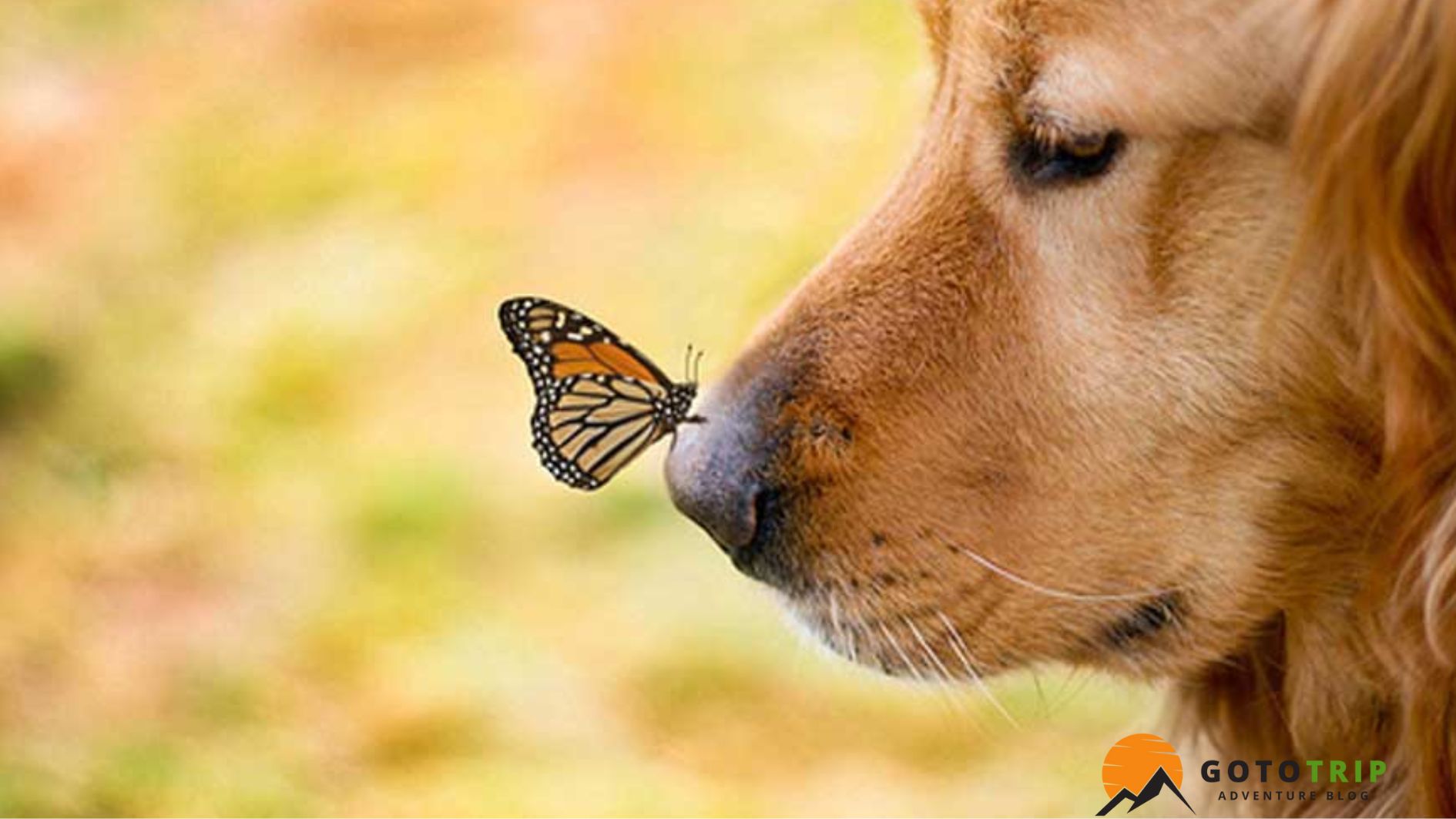 نکات تکمیلی برای خلق عکس های متفاوت