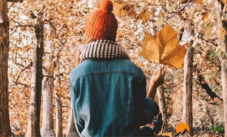 ایده عکاسی در طبیعت پاییز