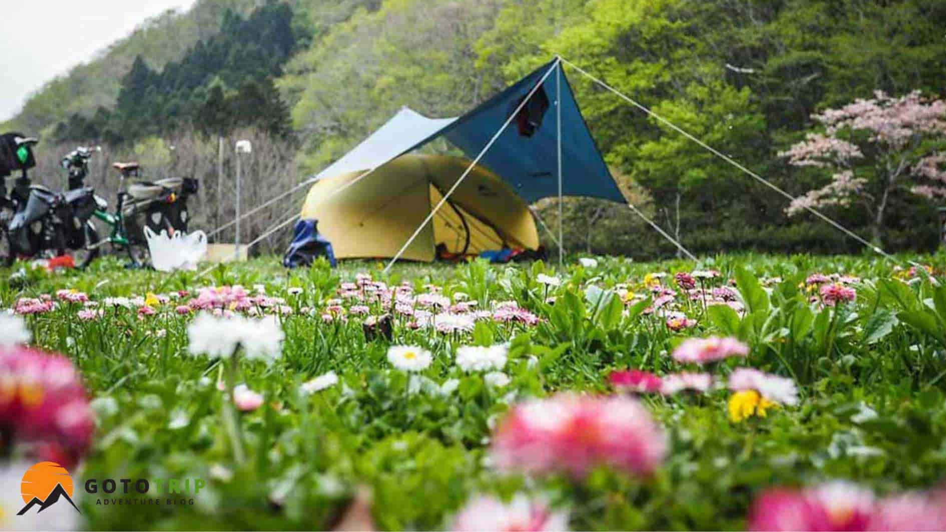 بهار در کمپینگ چهار فصل؛ آغاز زندگی دوباره طبیعت