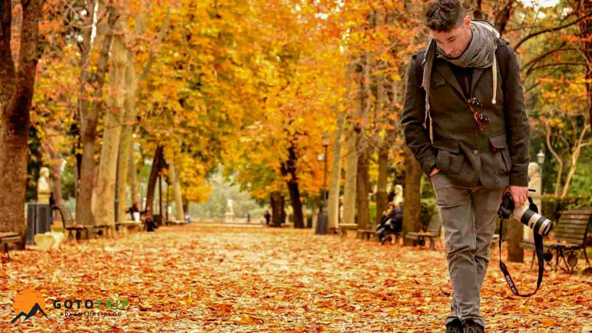 لوکیشن‌های مناسب برای عکاسی پاییزی