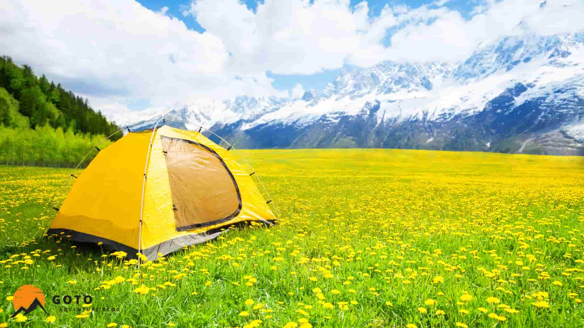 بهار در کمپینگ چهار فصل؛ آغاز زندگی دوباره طبیعت