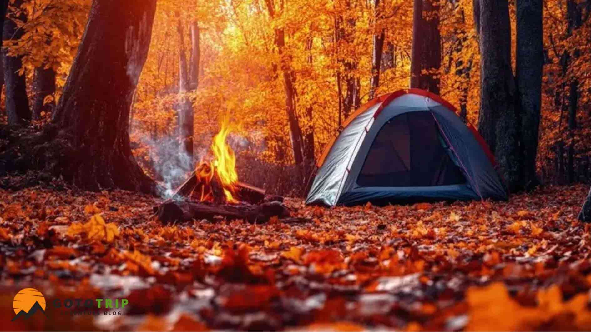 پاییز در کمپینگ چهار فصل؛ آرامش در رنگ های نارنجی