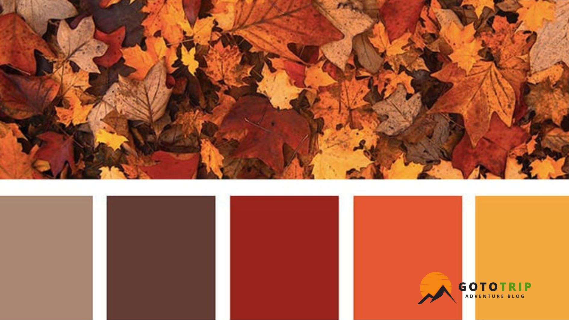 تنوع رنگ ها و بافت ها